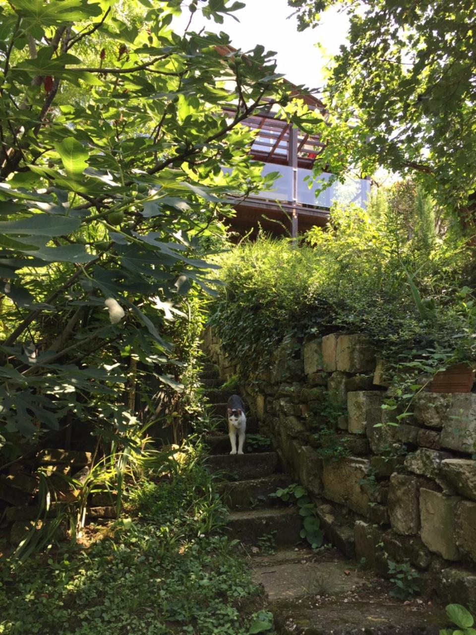 Pergola House In A Green Oasis With Fantastic View Apartment Petrovaradin Exterior foto