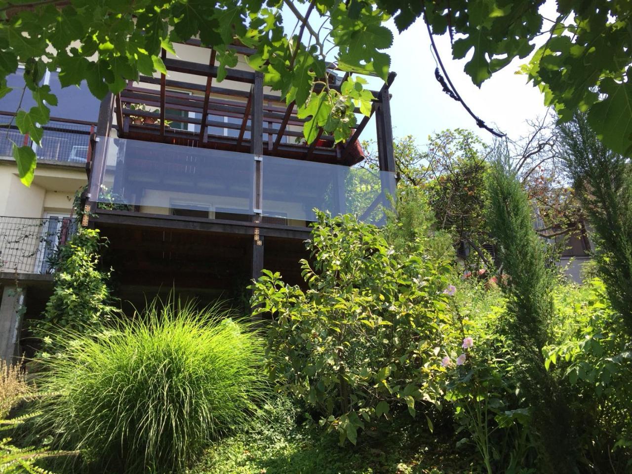 Pergola House In A Green Oasis With Fantastic View Apartment Petrovaradin Exterior foto