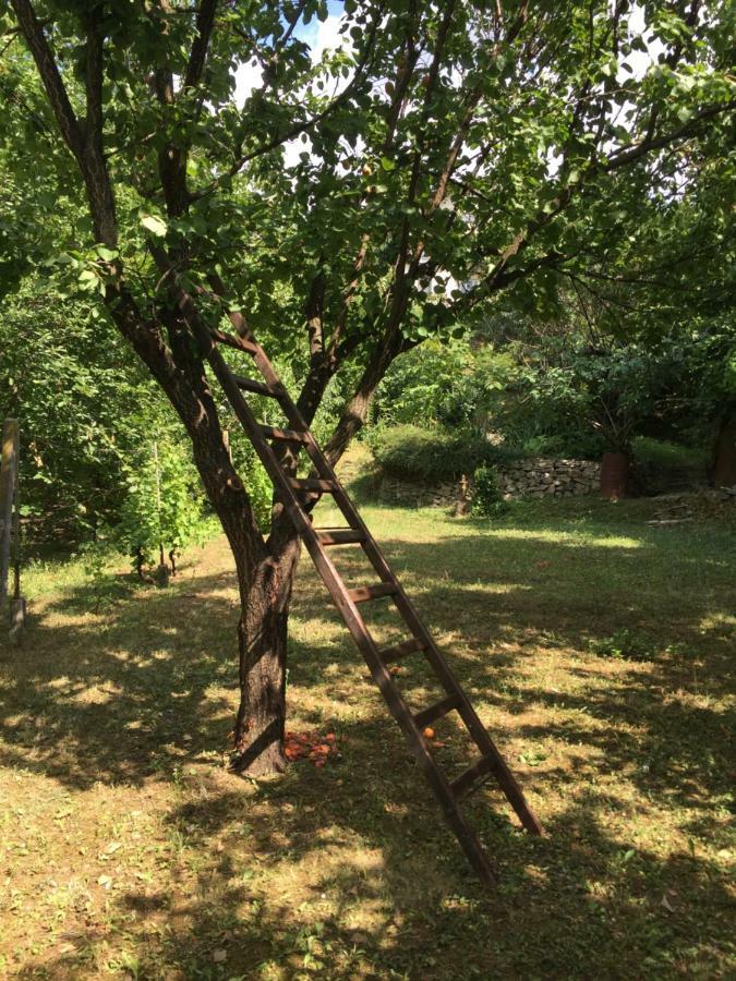 Pergola House In A Green Oasis With Fantastic View Apartment Petrovaradin Exterior foto