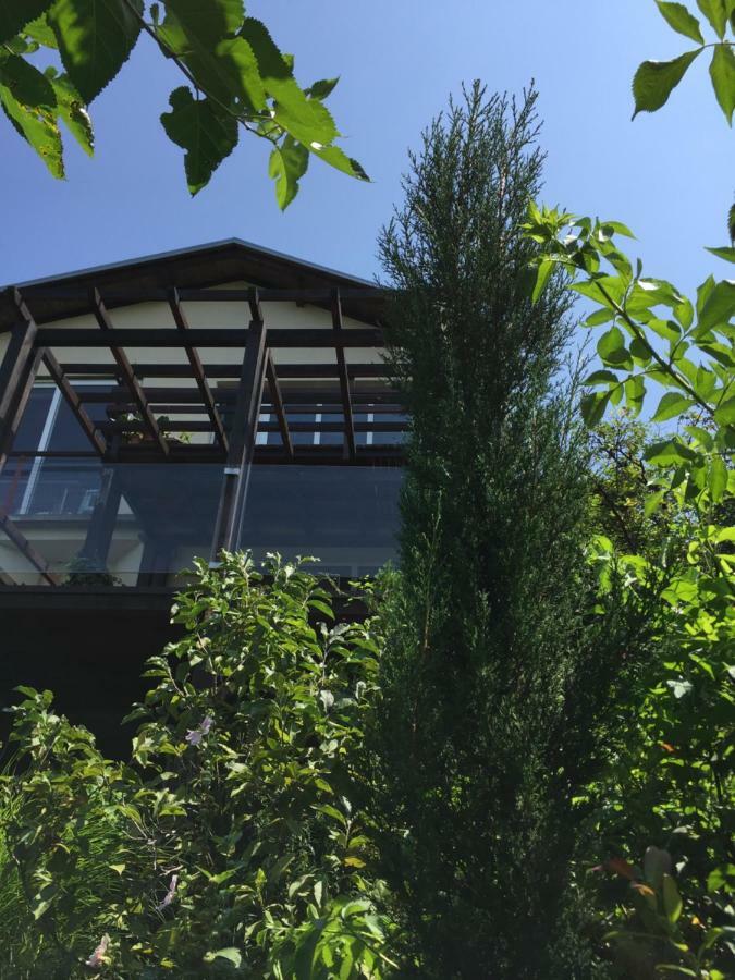 Pergola House In A Green Oasis With Fantastic View Apartment Petrovaradin Exterior foto